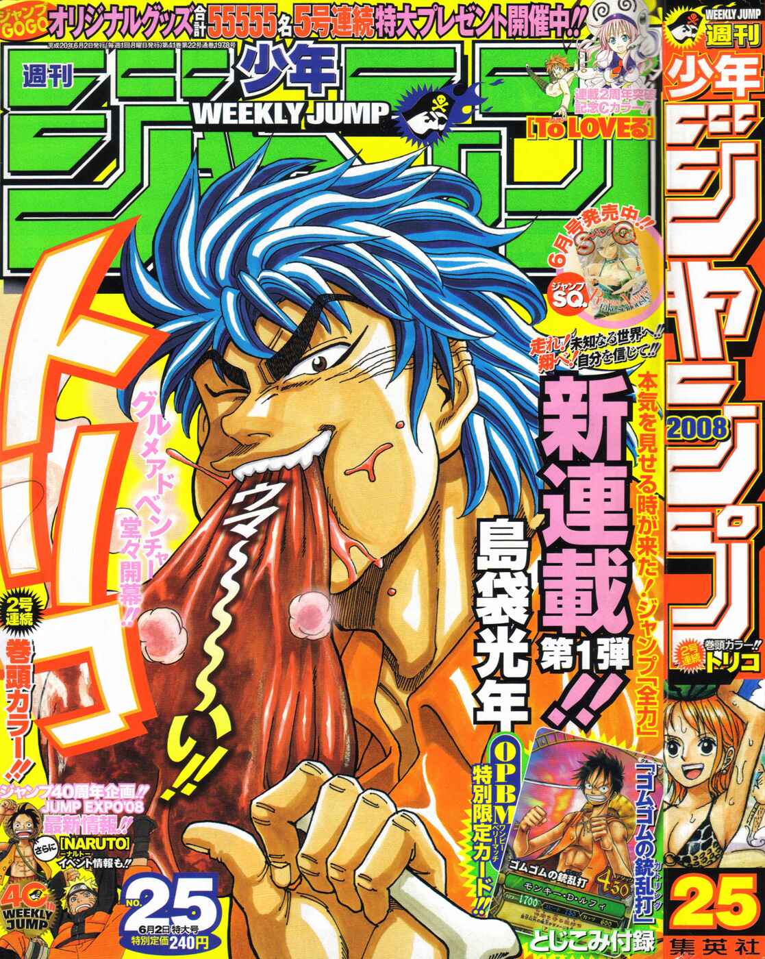 Page 11 Chapter 8 TORIKO