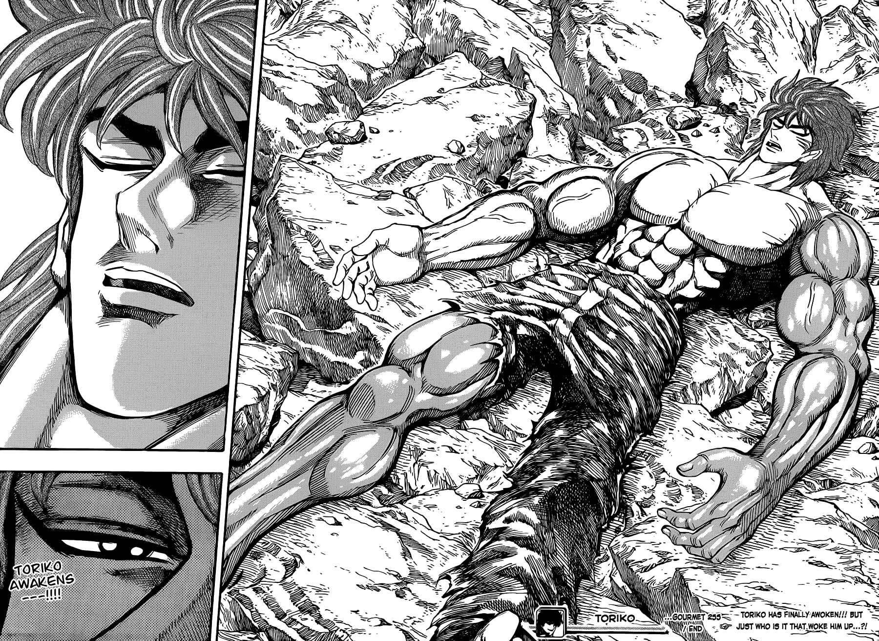 Page 17 Chapter 255 TORIKO