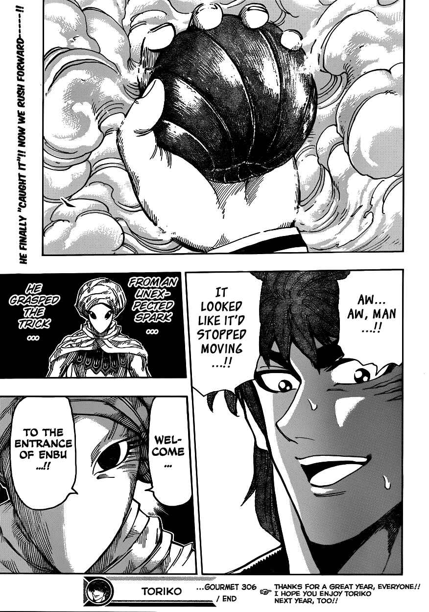 Page 17 Chapter 306 TORIKO