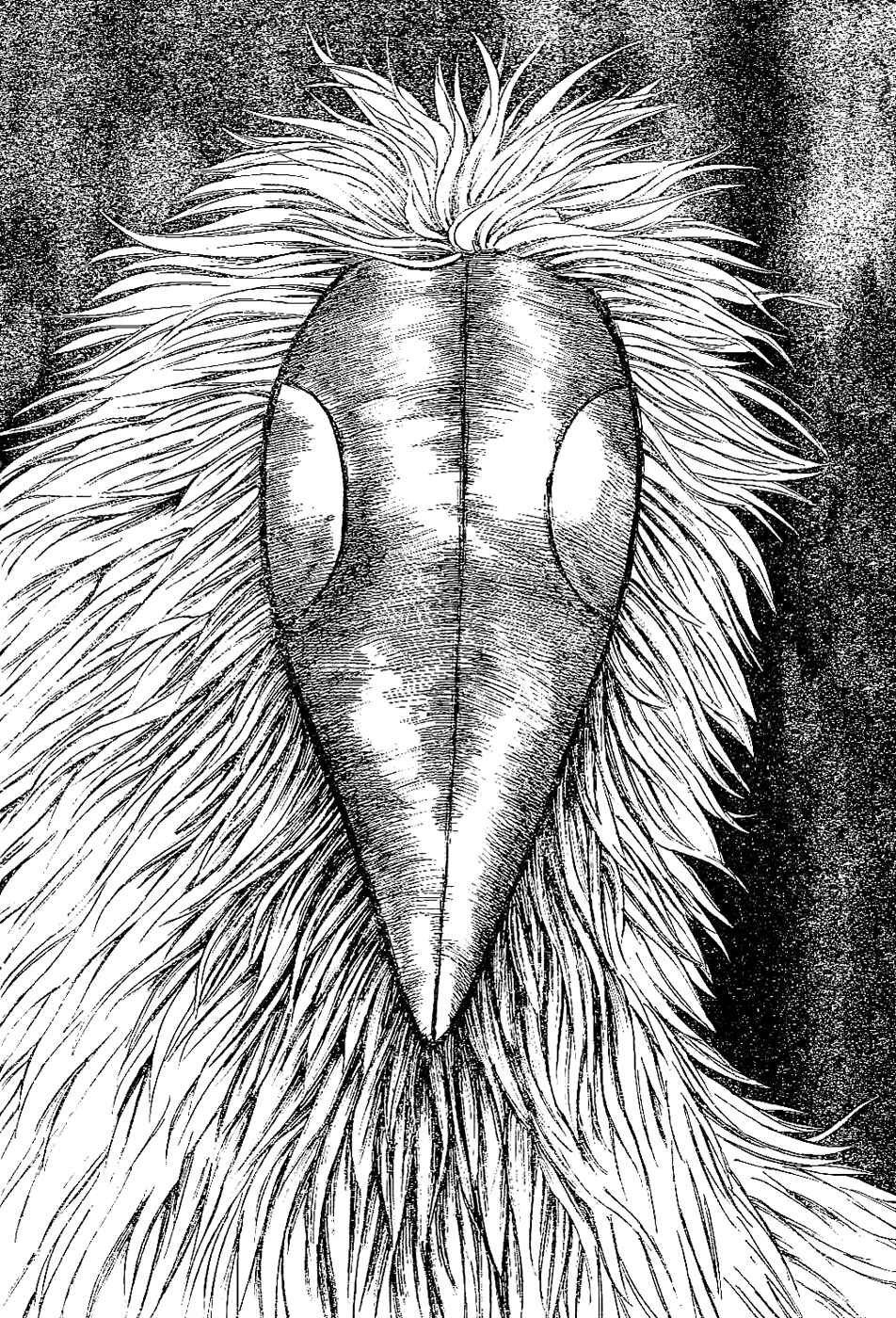 Page 4 Chapter 18 TORIKO