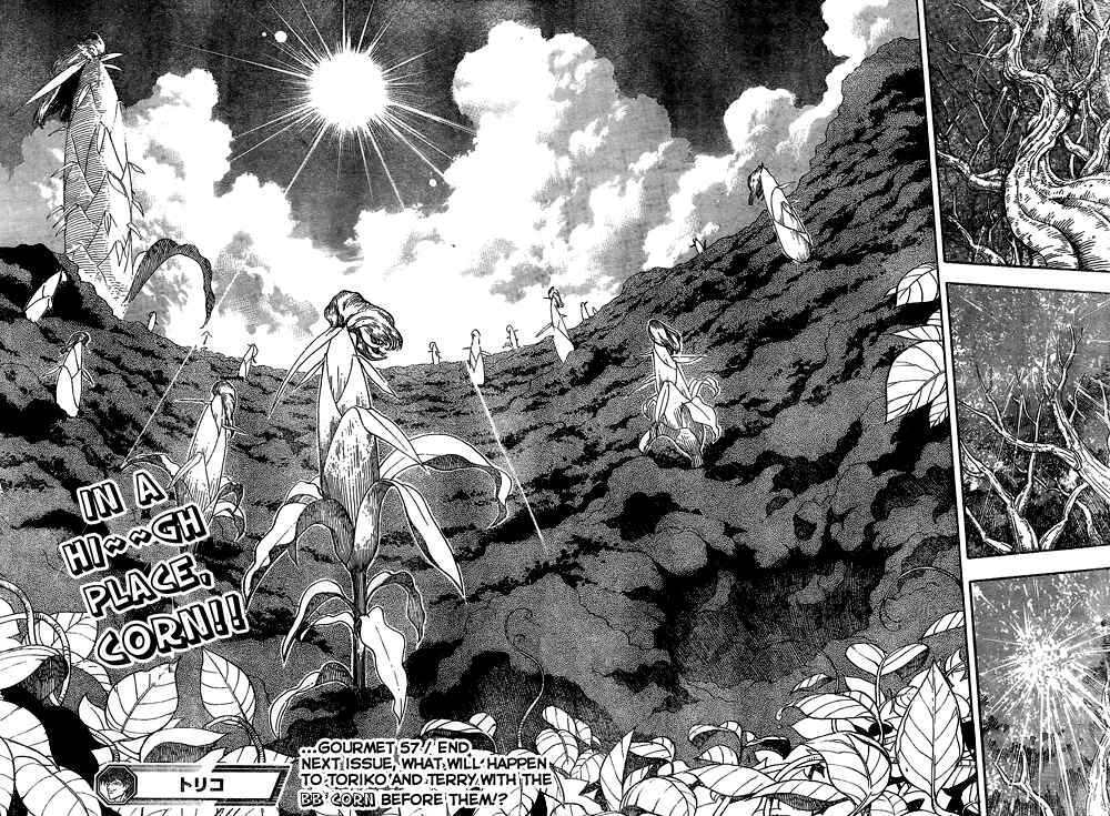 Page 22 Chapter 57 TORIKO