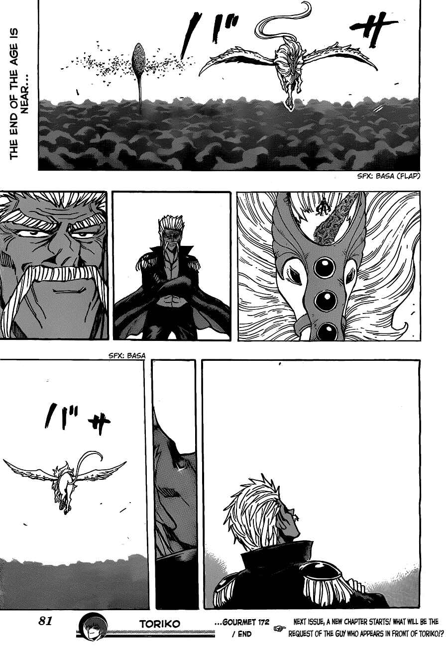 Page 19 Chapter 172 TORIKO