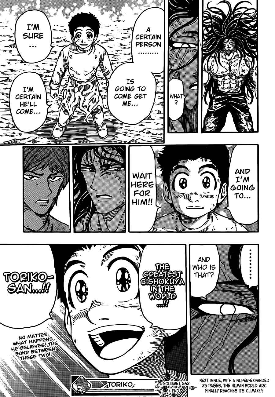 Page 19 Chapter 262 TORIKO