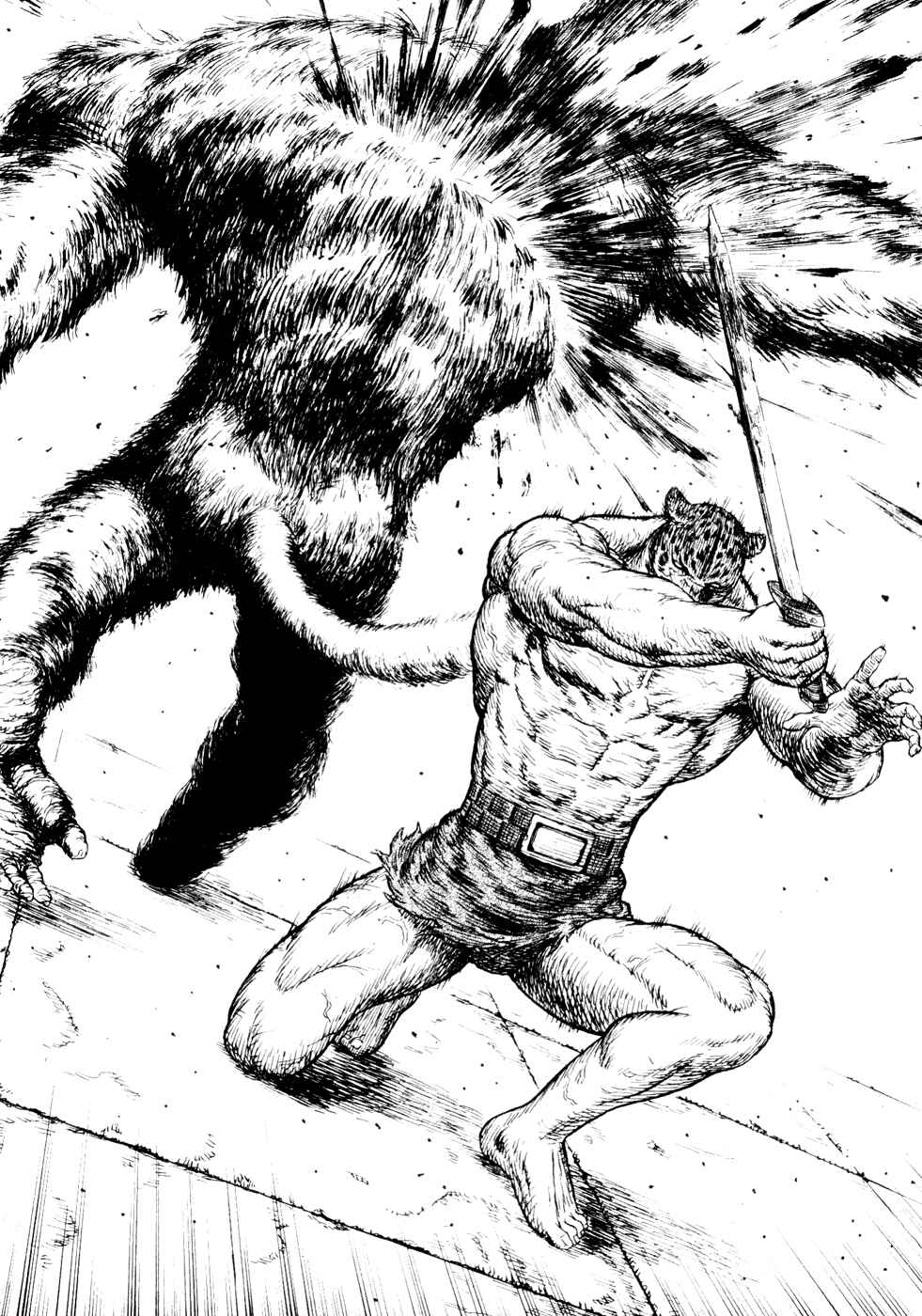 Page 27 Chapter Unknown_a99f Guin Saga