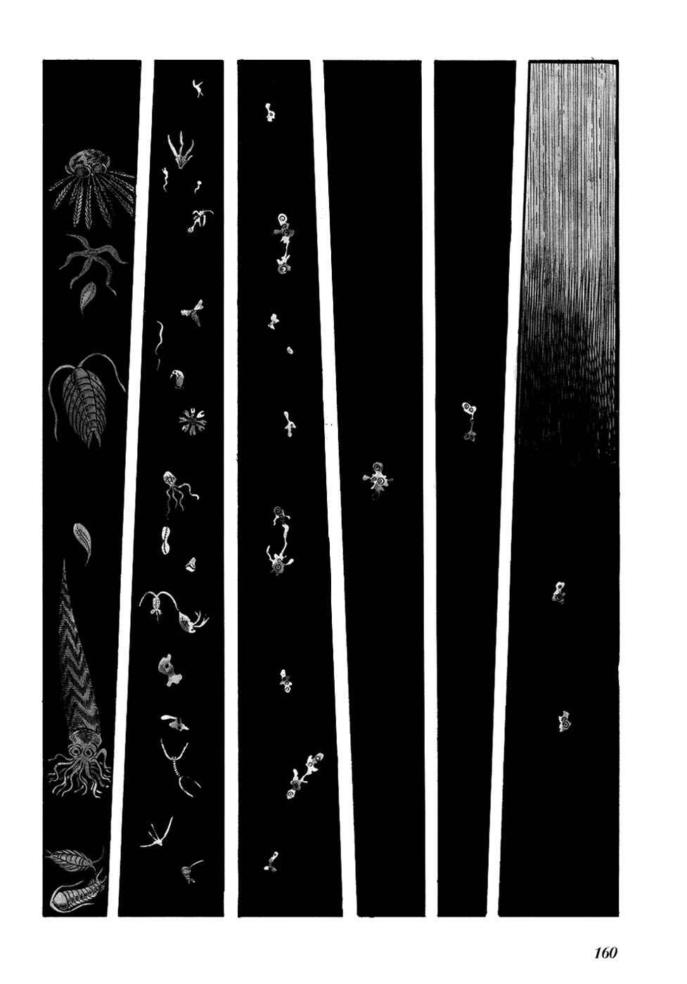 Page 5 Chapter 13 Fantasy World Jun