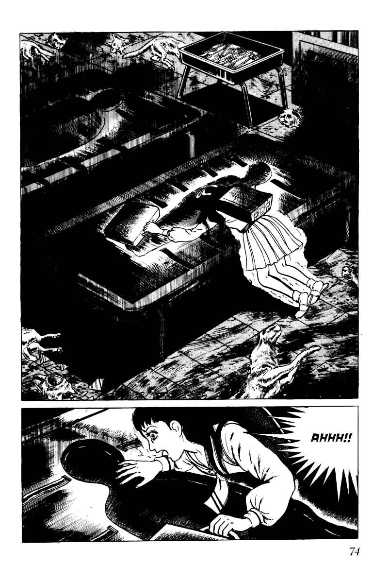 Page 35 Chapter 2 Baptism