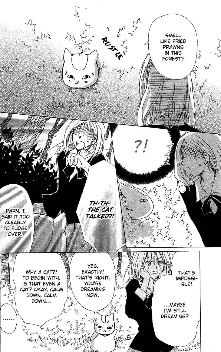 Page 4 Chapter 73.5 Natsume Yuujinchou