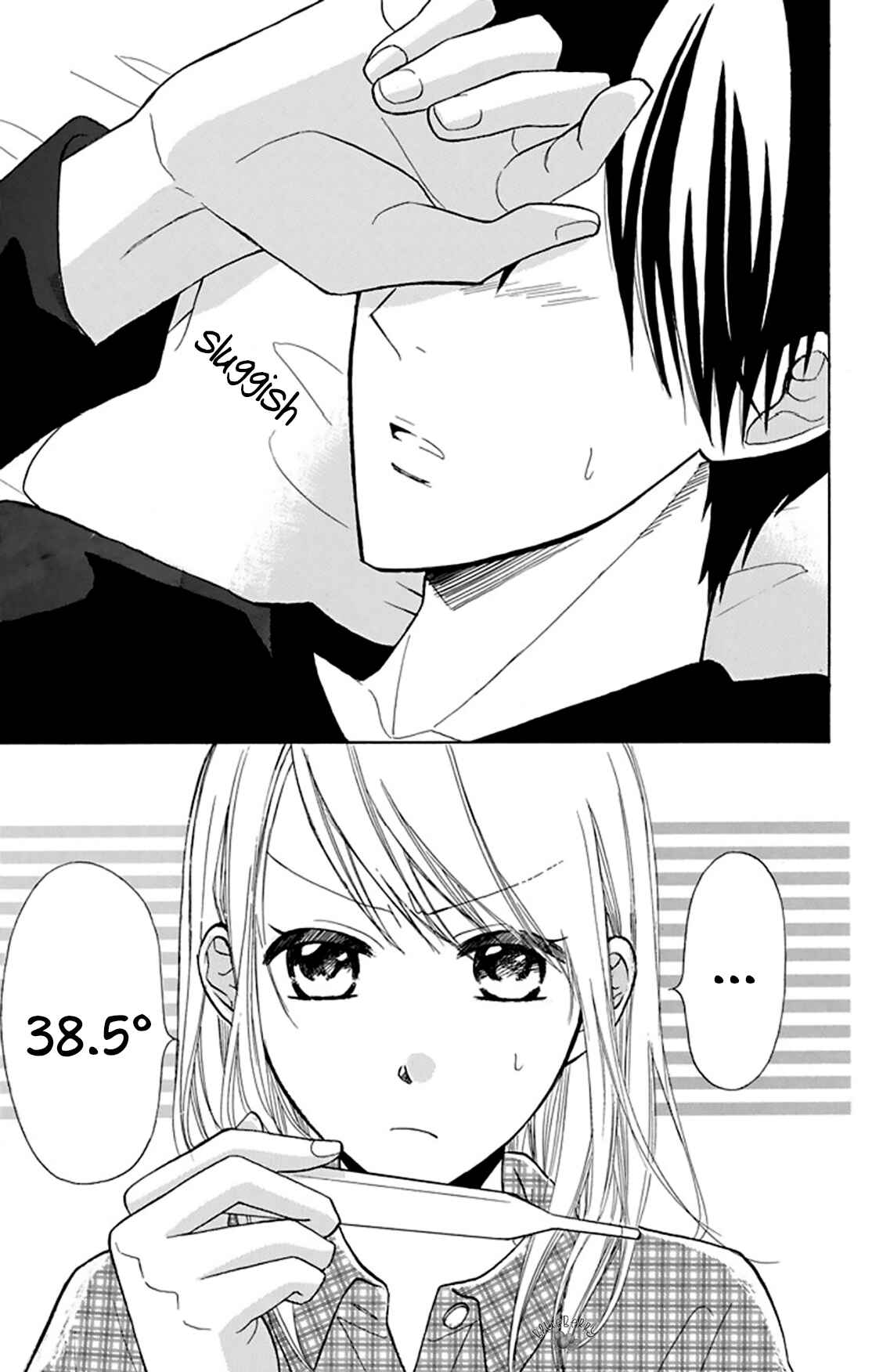 Page 13 Chapter 9 Mint Chocolate