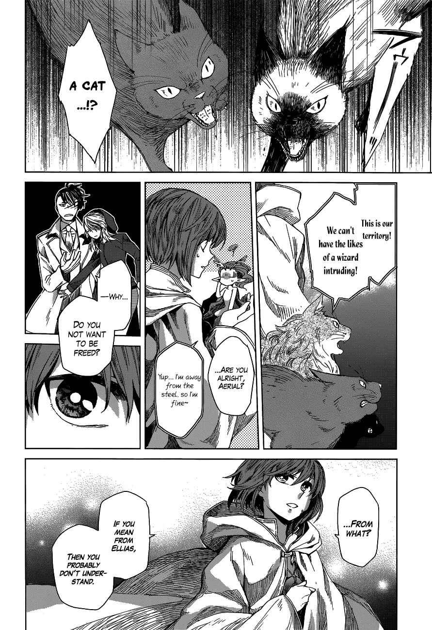 Page 12 Chapter 6 The Ancient Magus Bride