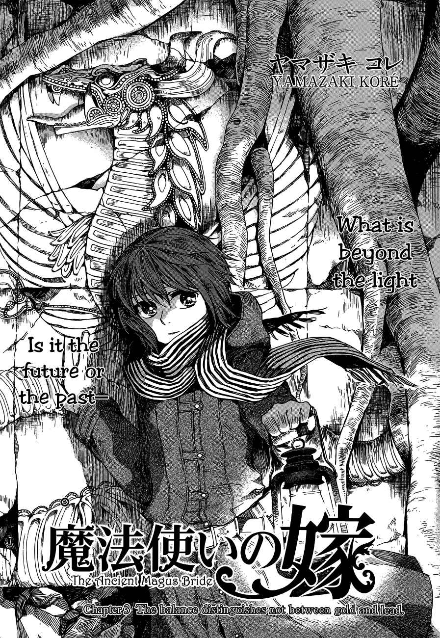 Page 3 Chapter 3 The Ancient Magus Bride