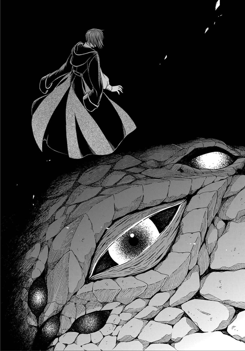 Page 38 Chapter 81 The Ancient Magus Bride