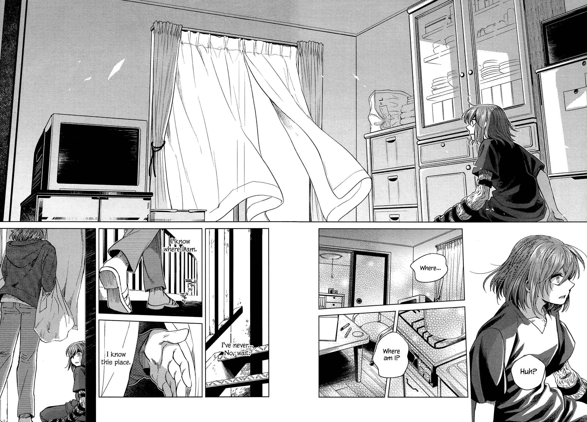 Page 35 Chapter 41 The Ancient Magus Bride