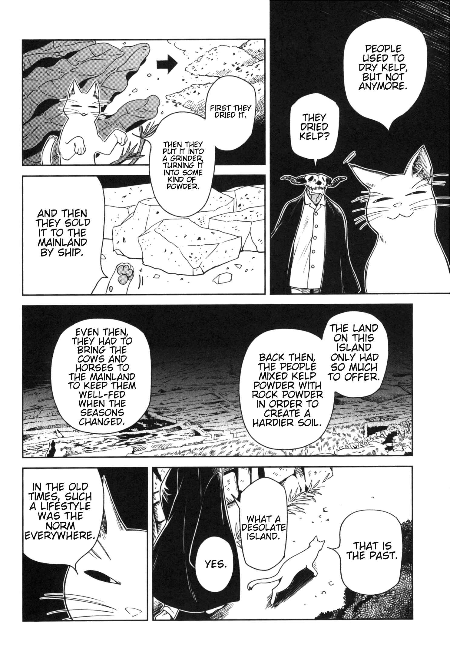 Page 17 Chapter 78.5 The Ancient Magus Bride