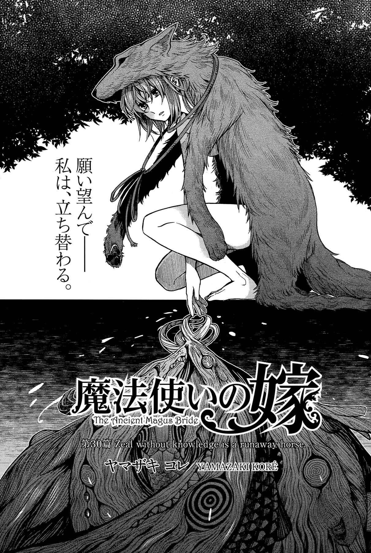 Page 3 Chapter 30 The Ancient Magus Bride