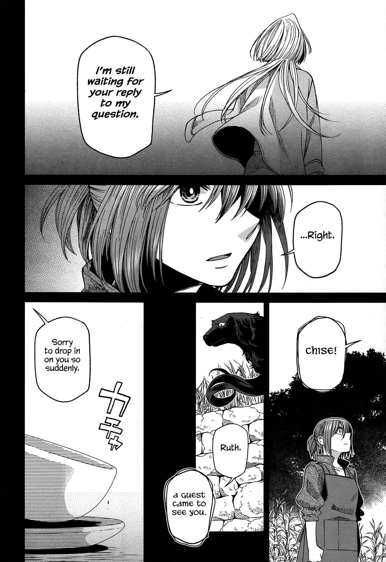 Page 14 Chapter 46 The Ancient Magus Bride