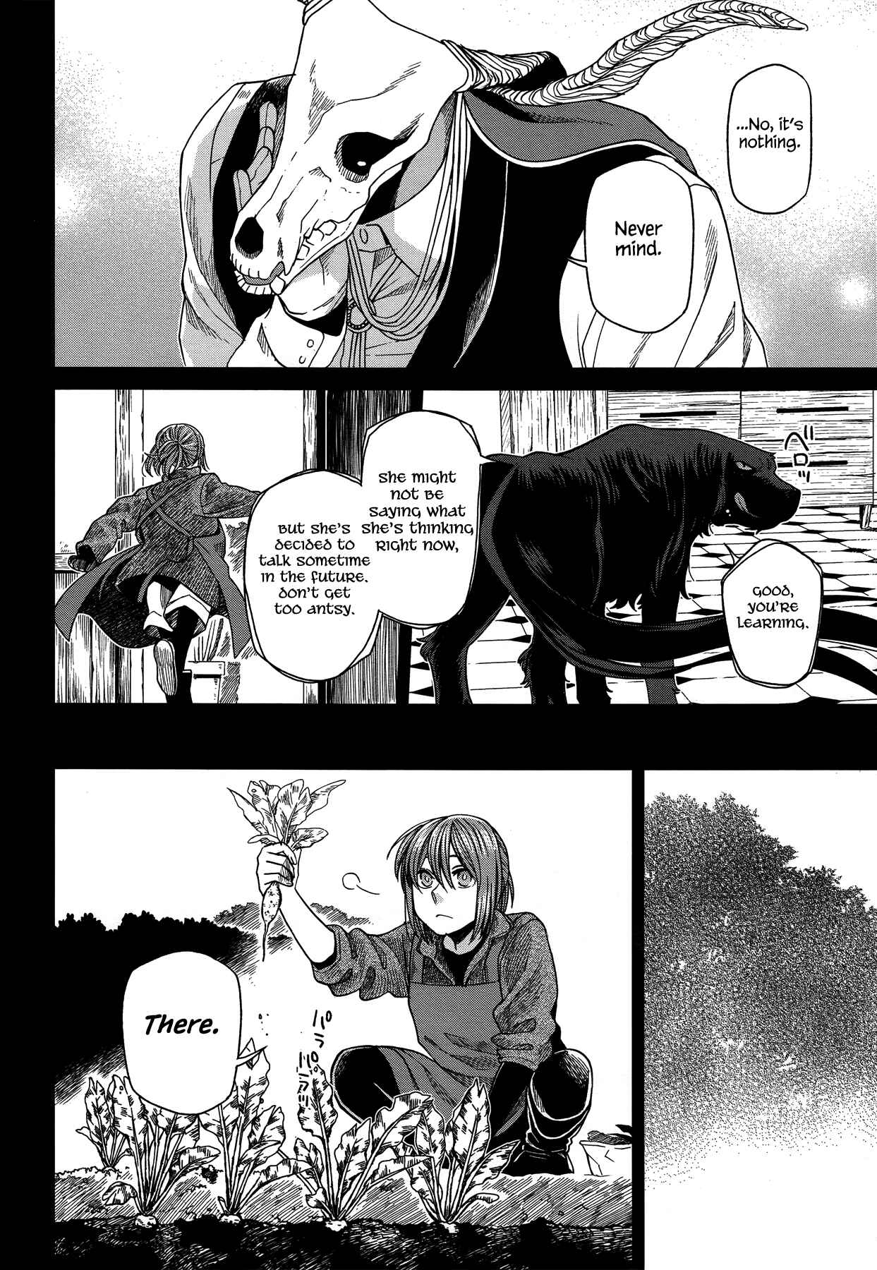 Page 8 Chapter 46 The Ancient Magus Bride