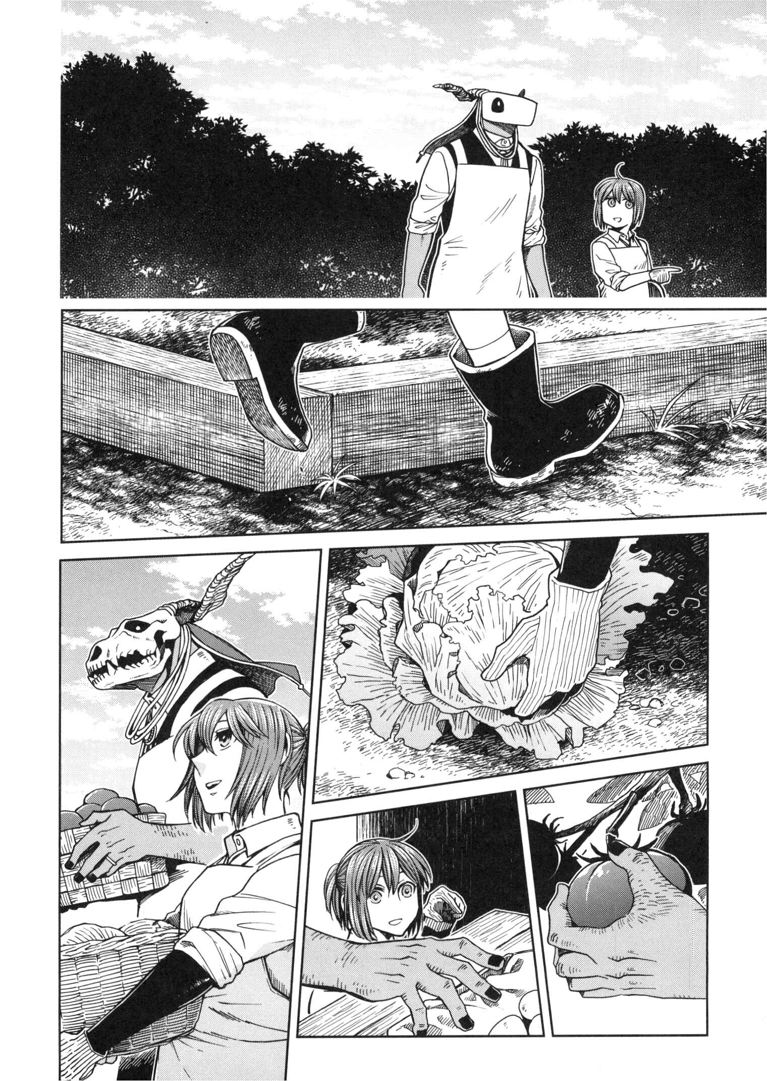 Page 15 Chapter 80.5 The Ancient Magus Bride