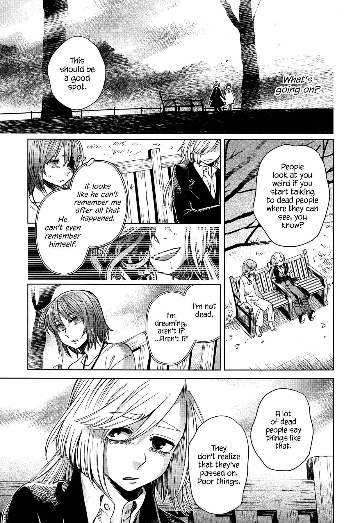 Page 11 Chapter 33 The Ancient Magus Bride