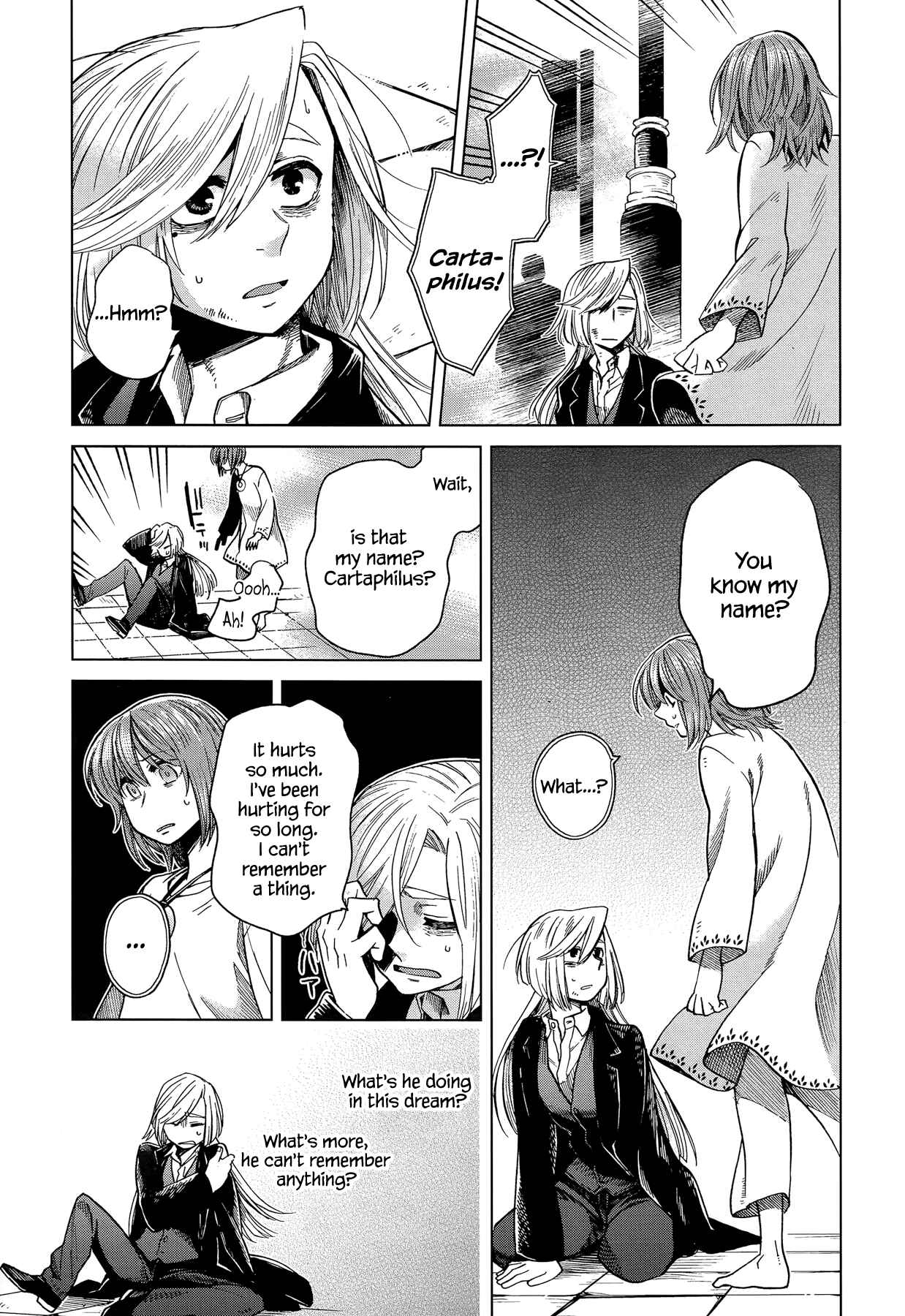 Page 9 Chapter 33 The Ancient Magus Bride
