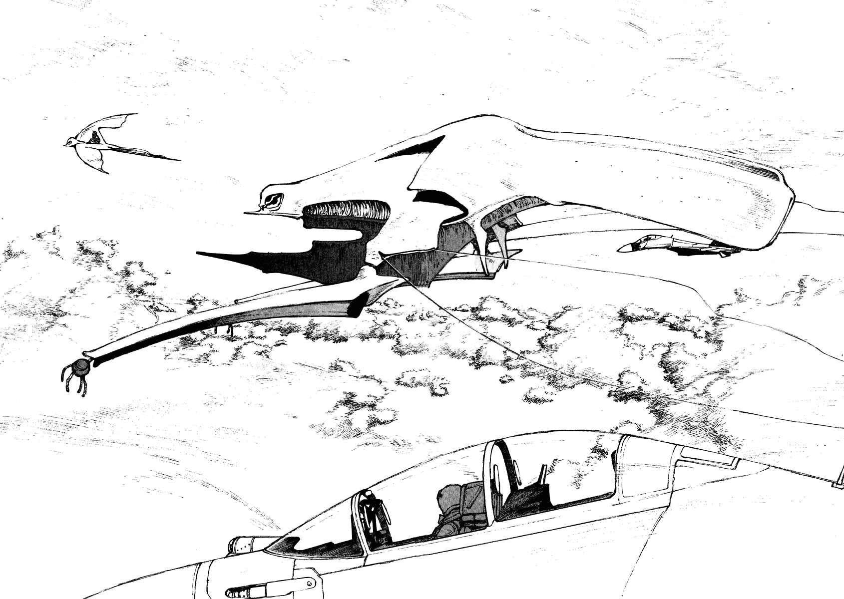 Page 31 Chapter 63 Narutaru
