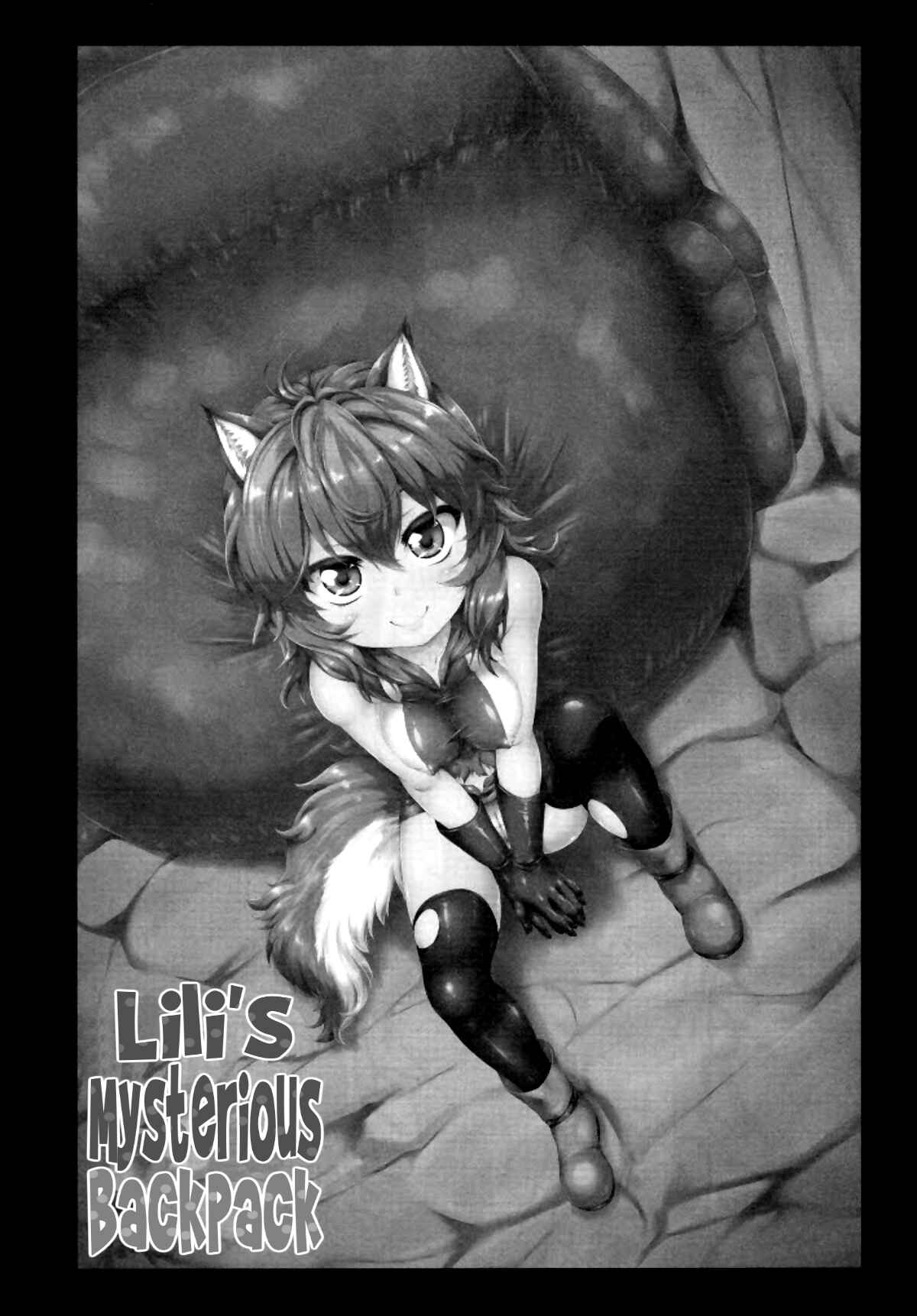 Page 2 Chapter Unknown_cd81 Dungeon ni Deai o Motomeru no wa Machigatteiru Darou ka - Lili no Fushigi na Ryukku (Doujinshi)