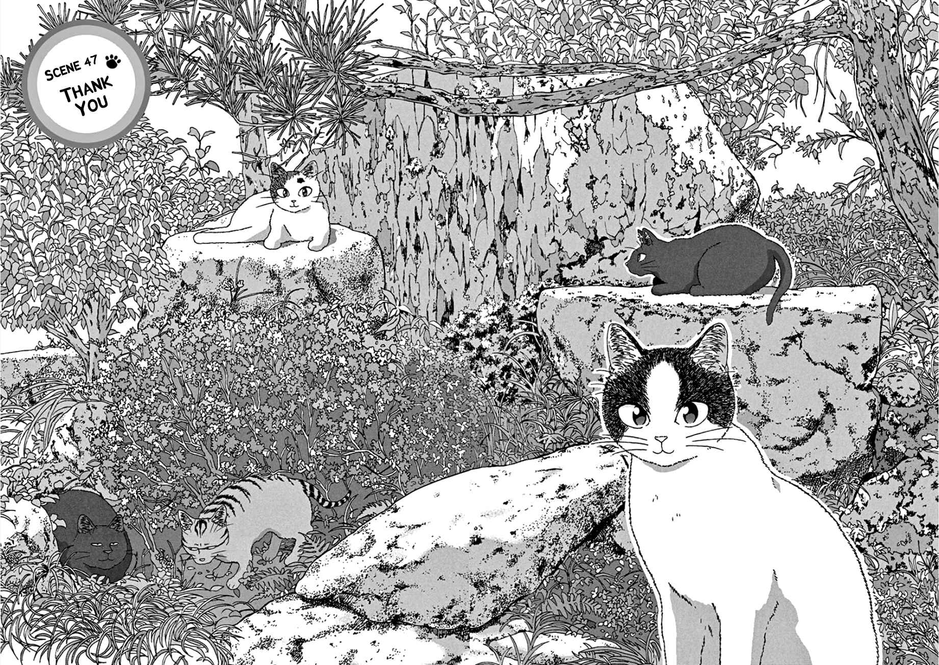 Page 4 Chapter 47 Mill
