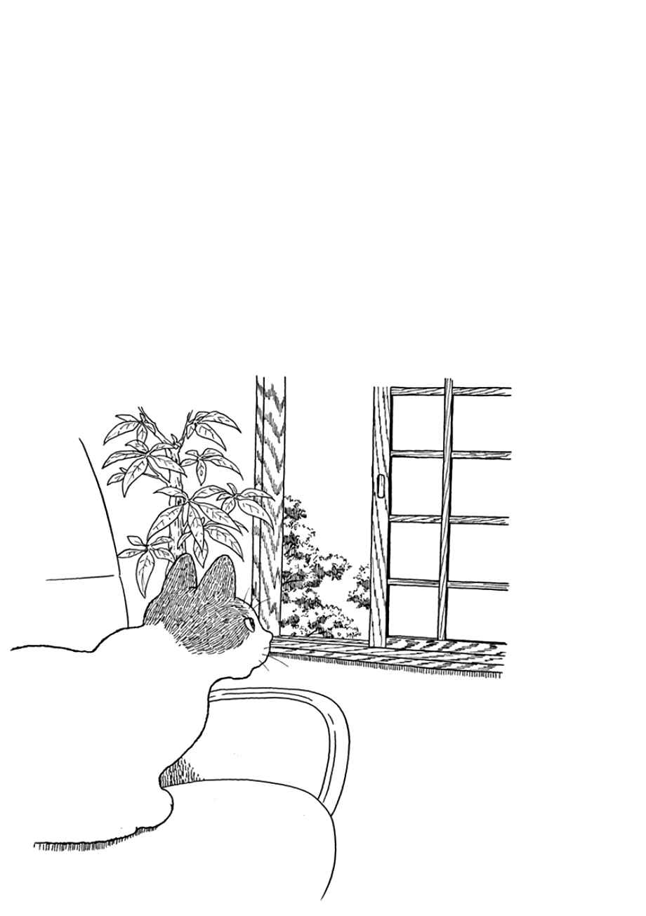 Page 25 Chapter 43 Mill