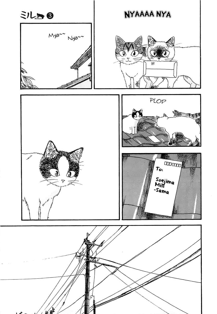 Page 19 Chapter 19 Mill
