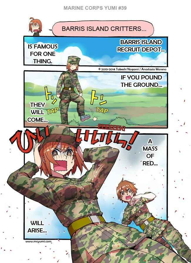 Page 1 Chapter 39 Marine Corps Yumi