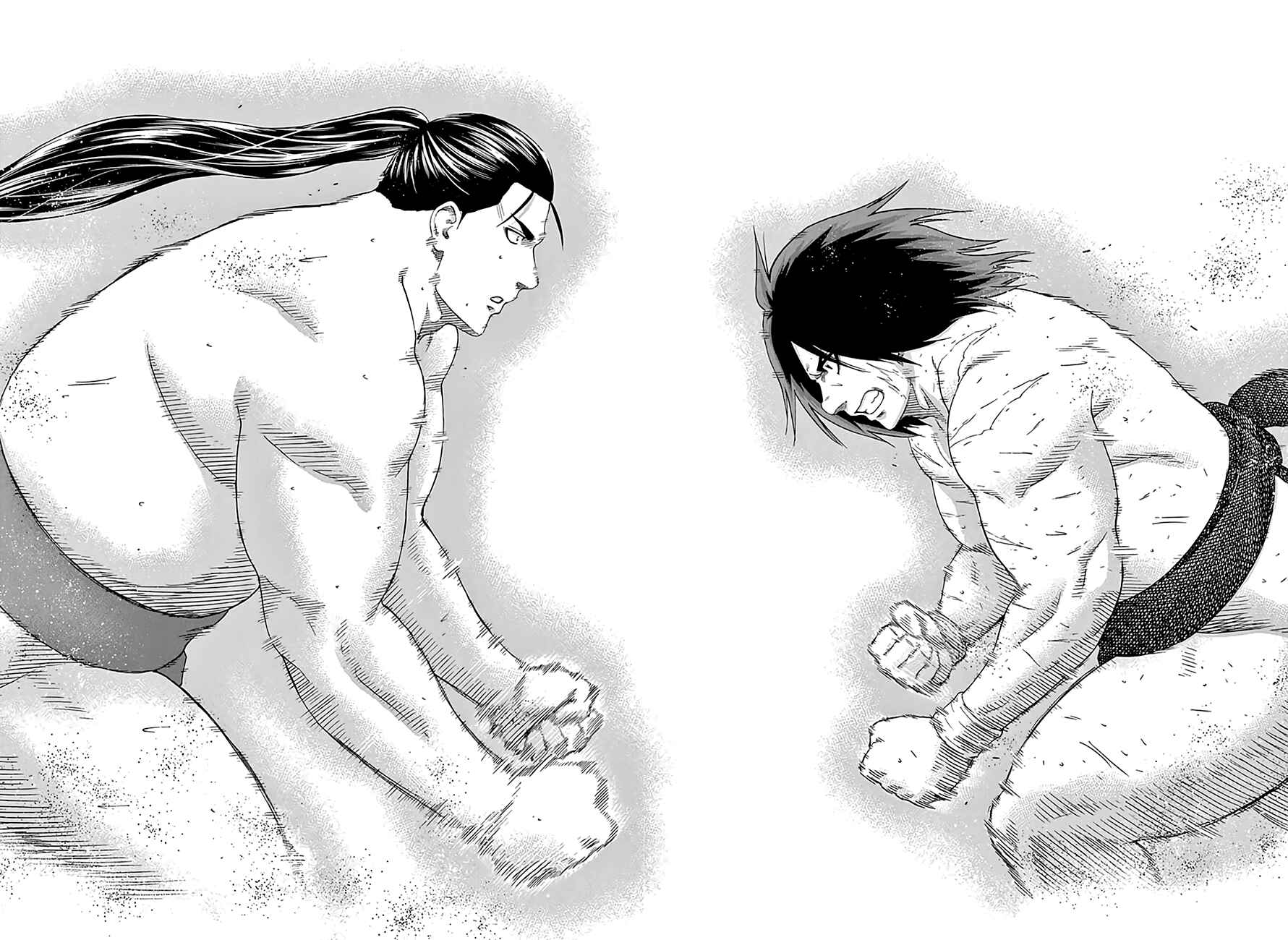 Page 15 Chapter 220 Hinomaru Sumo
