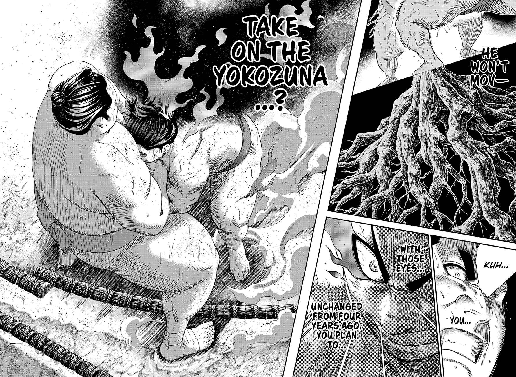 Page 15 Chapter 162 Hinomaru Sumo