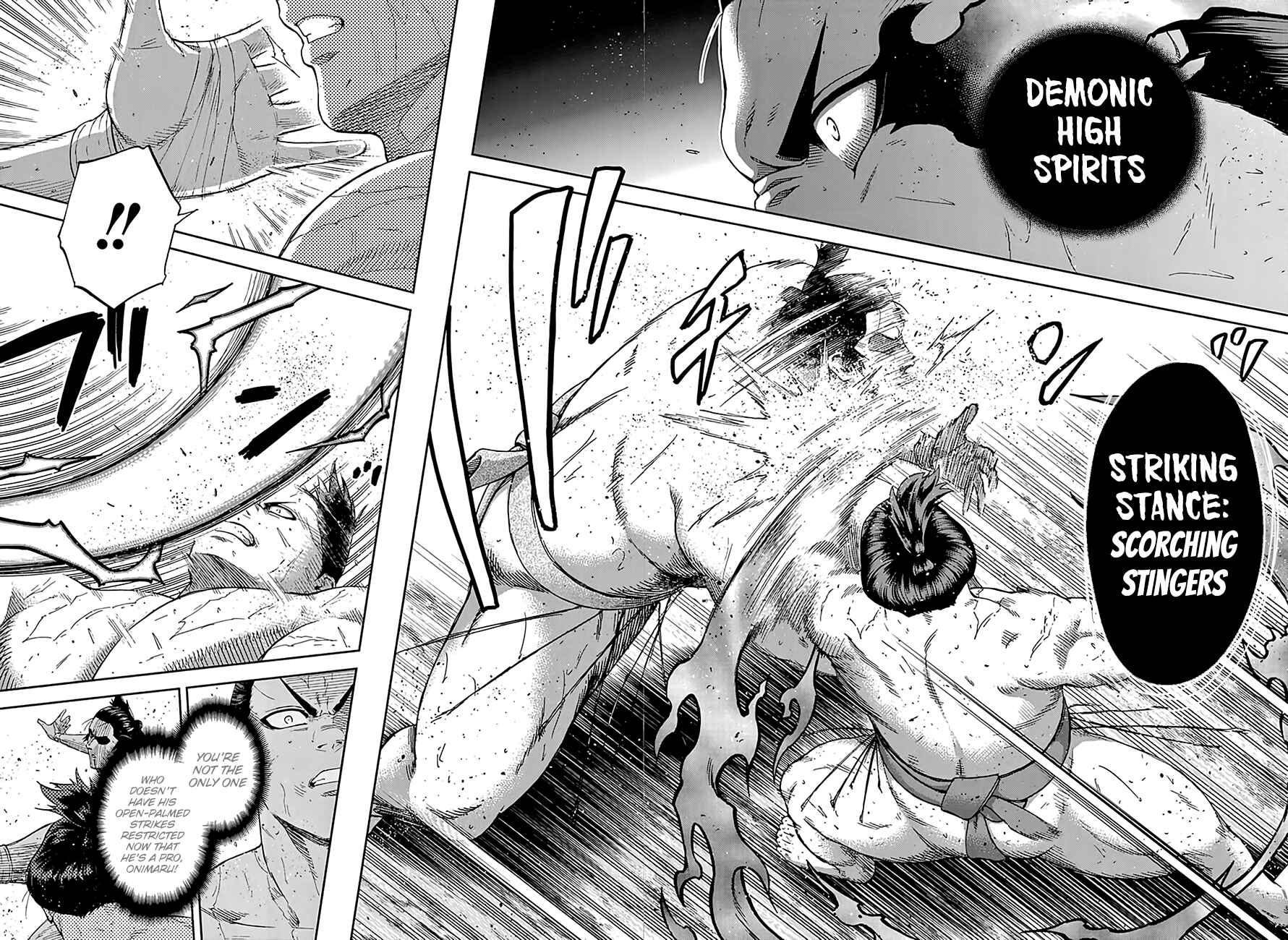 Page 9 Chapter 193 Hinomaru Sumo