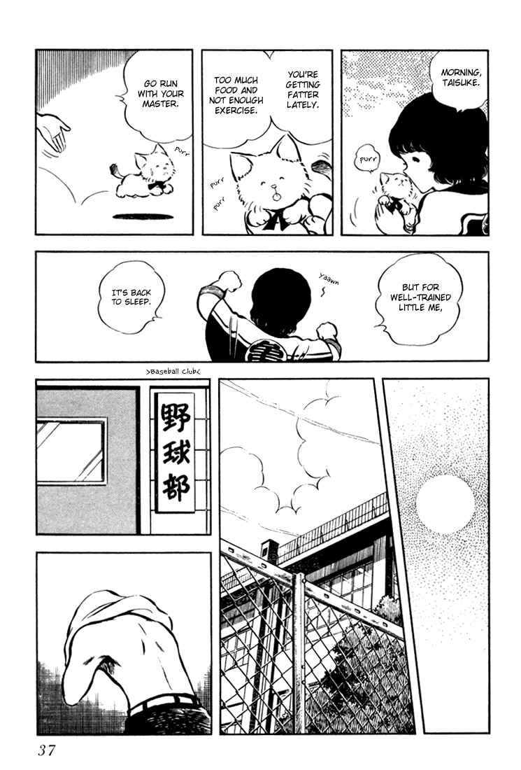 Page 38 Chapter Unknown_c8d0 Beautiful Sunshine!