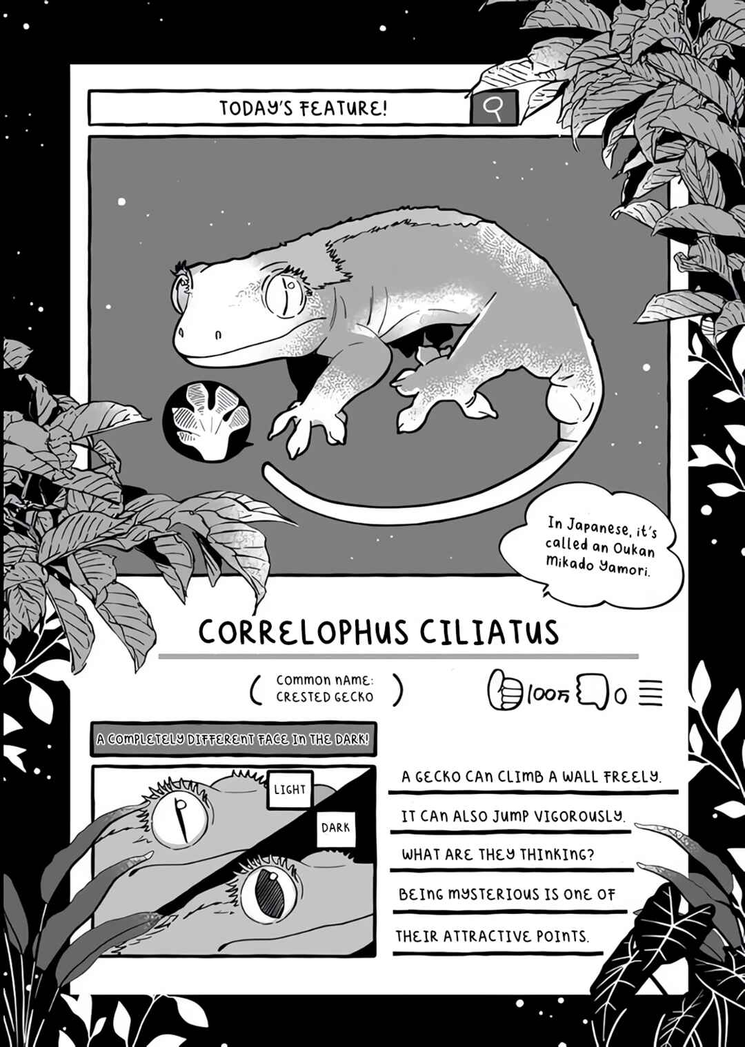 Page 20 Chapter 3 Tonari no Hachuurui-kun
