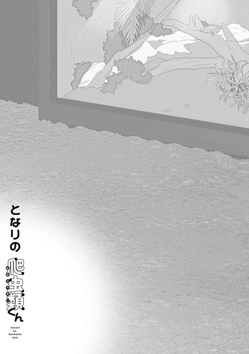 Page 25 Chapter 7 Tonari no Hachuurui-kun