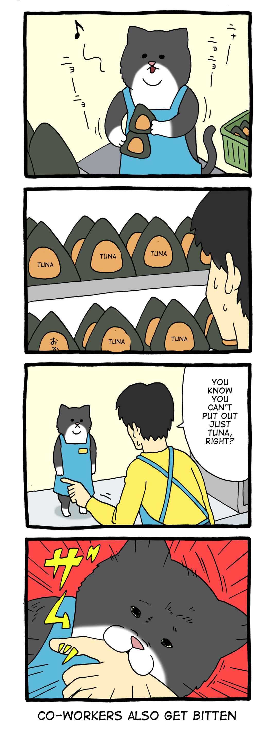 Page 1 Chapter 10 Register Cat