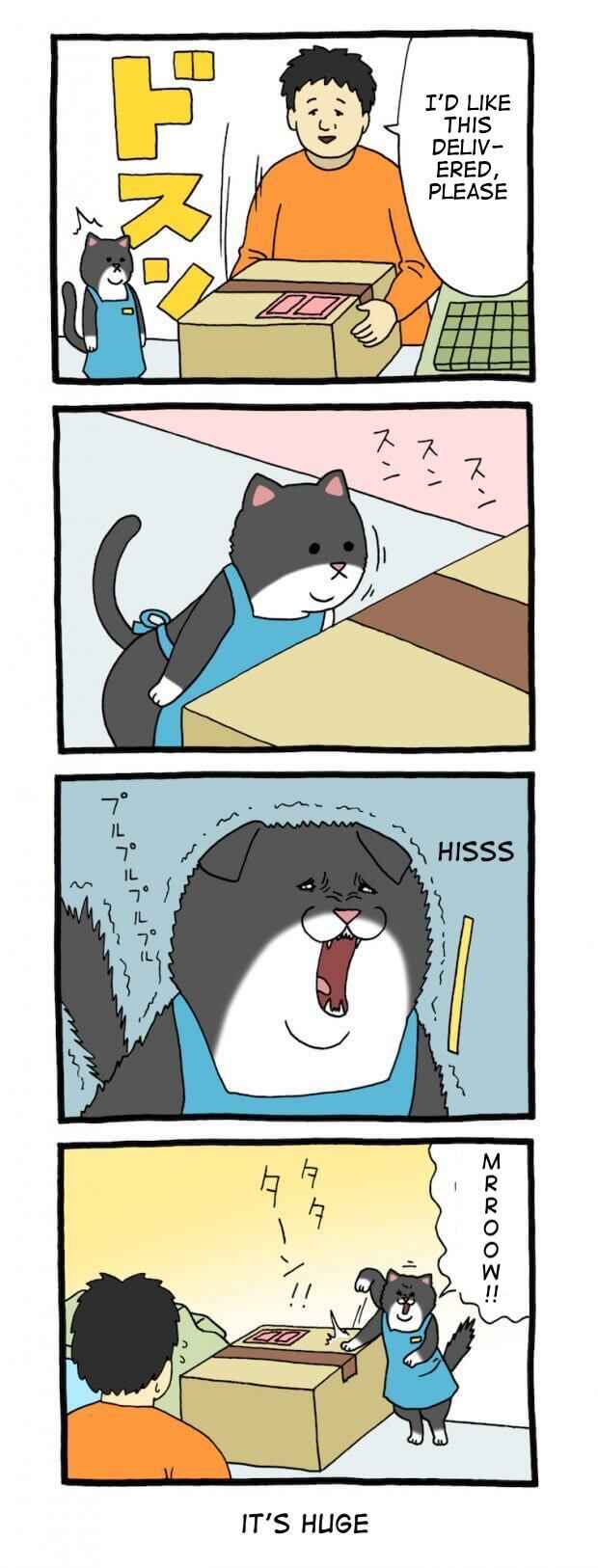 Page 1 Chapter 33 Register Cat