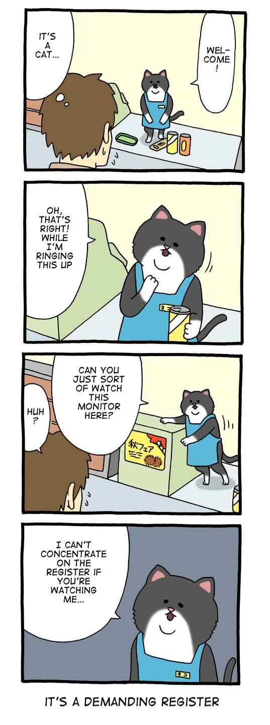 Page 1 Chapter 1 Register Cat