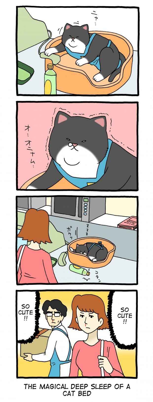 Page 1 Chapter 32 Register Cat