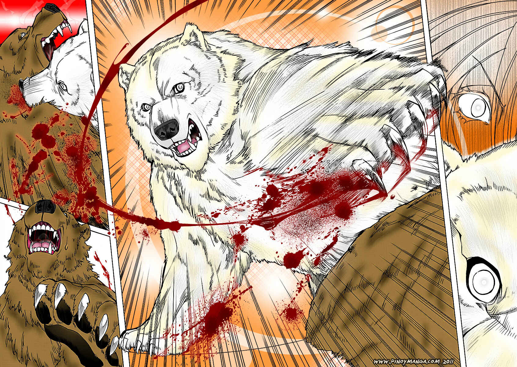 Page 7 Chapter 8 KLAN
