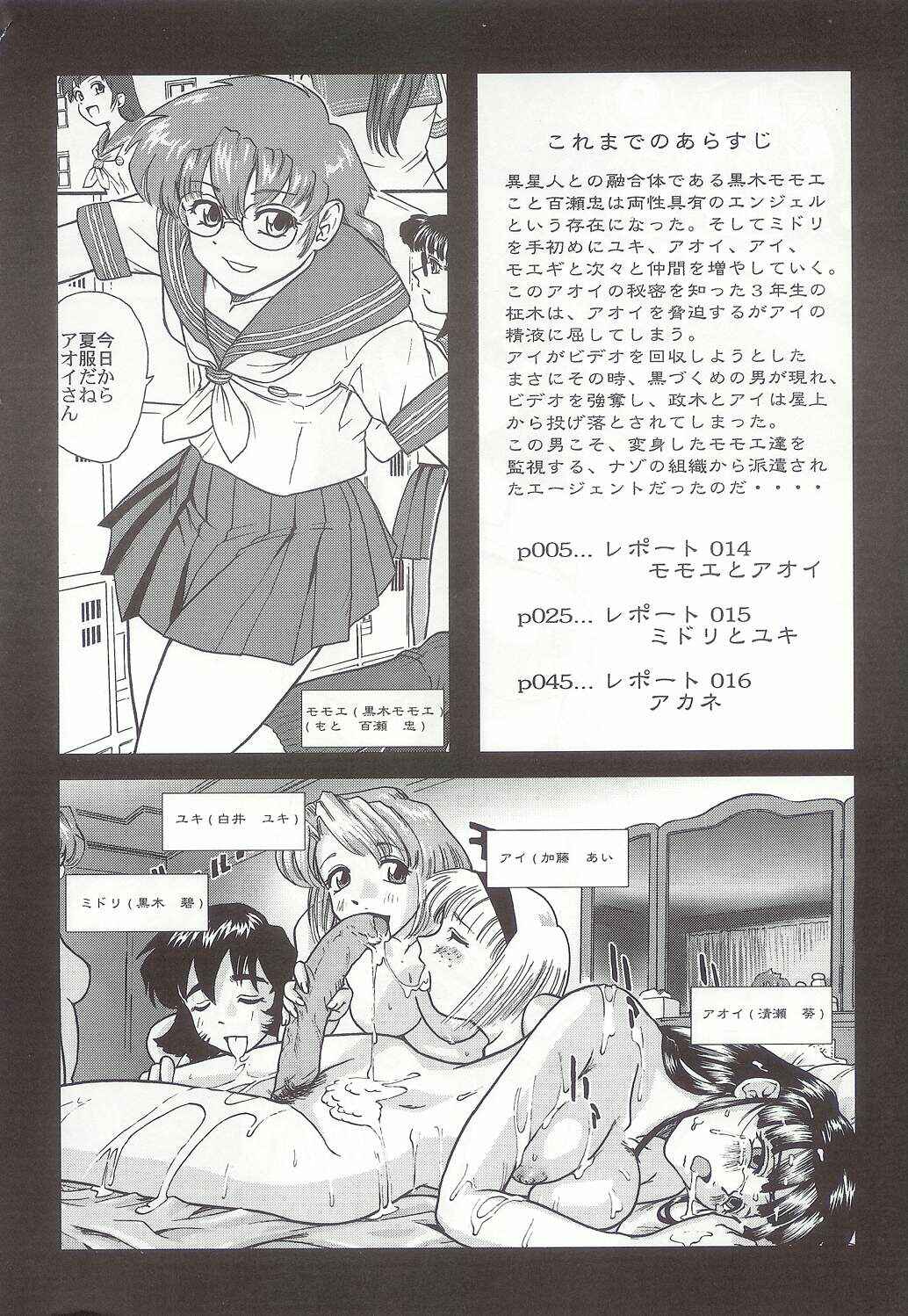 Page 3 Chapter 14 Dulce Report