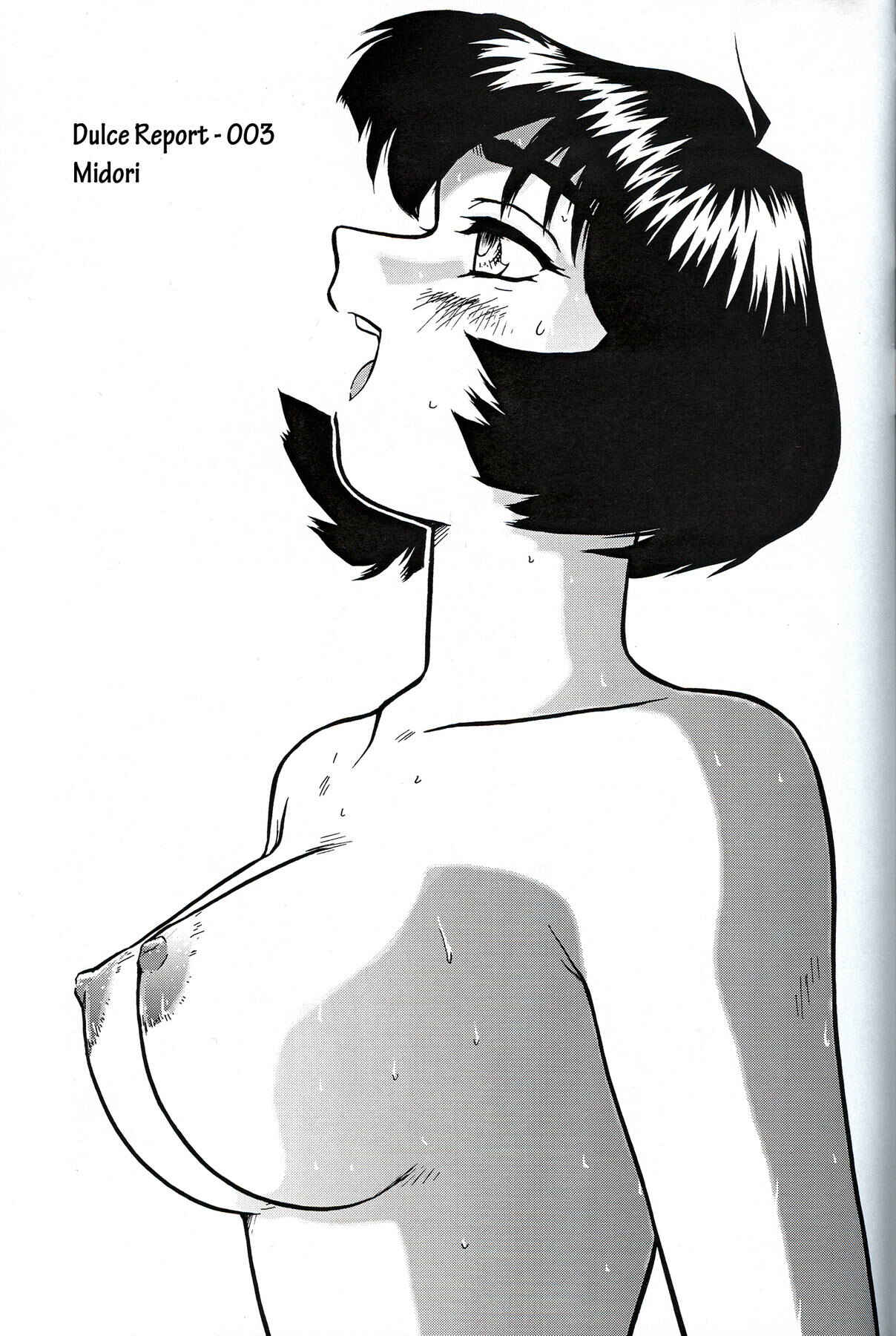 Page 1 Chapter 3 Dulce Report