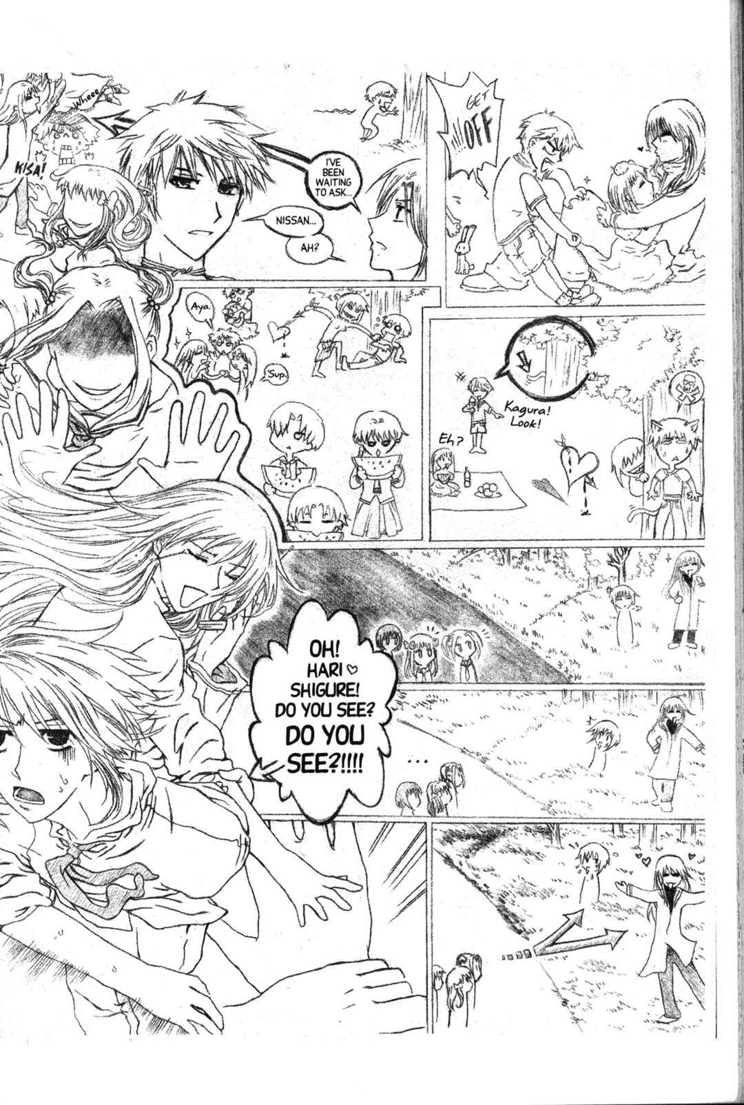 Page 13 Chapter 113.5 Fruits Basket