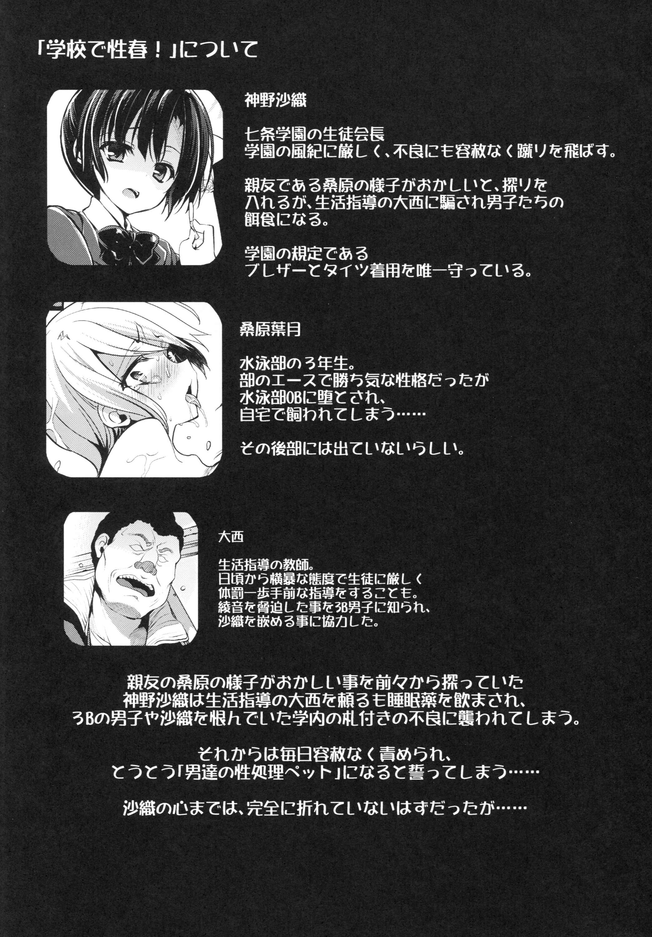 Page 3 Chapter 13 Gakkou de Seishun!