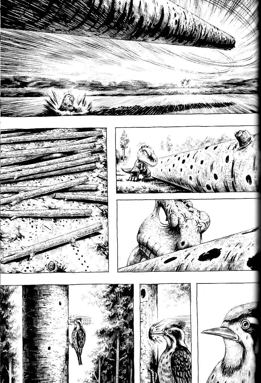 Page 13 Chapter 3 Gon