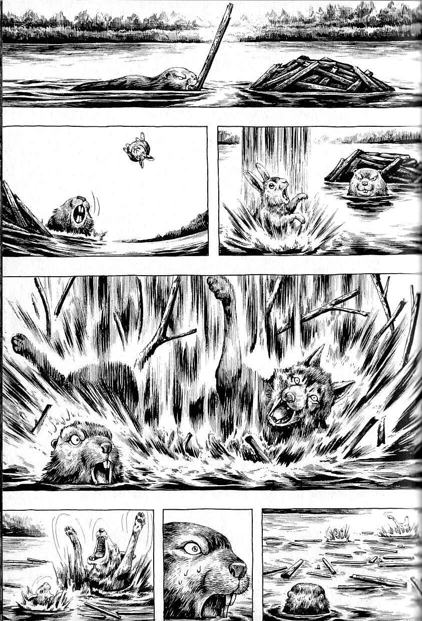Page 17 Chapter 3 Gon