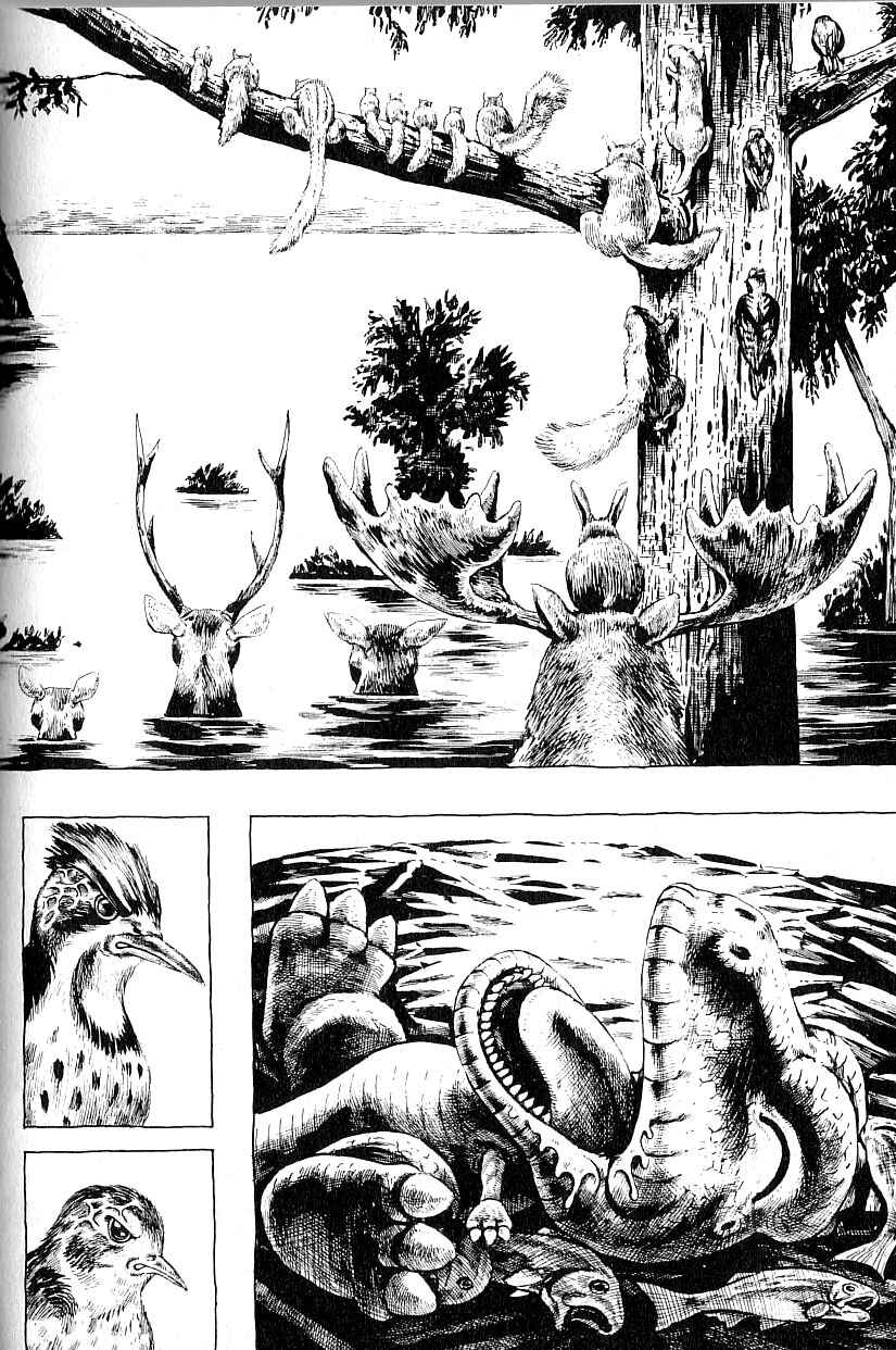 Page 31 Chapter 3 Gon