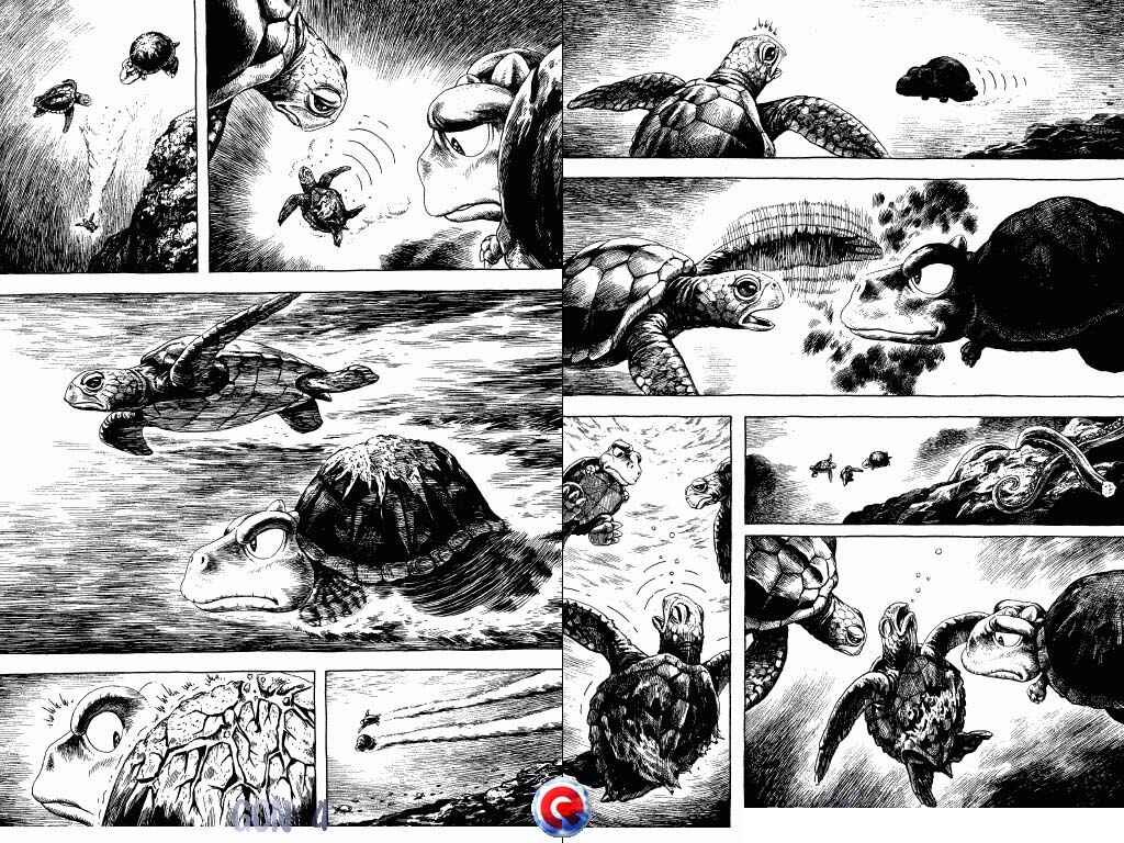 Page 41 Chapter 13 Gon