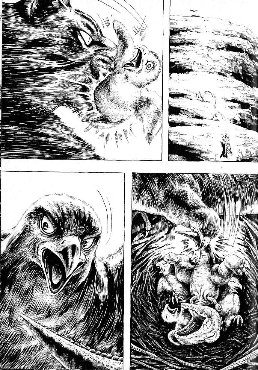 Page 12 Chapter 4 Gon