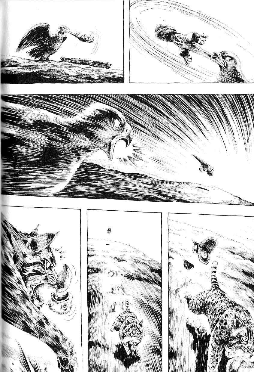 Page 13 Chapter 4 Gon